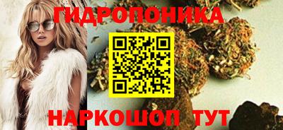 крисы Гагарин